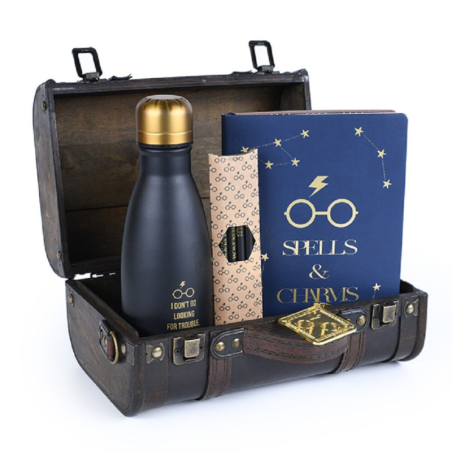 Pack Cofre Regalo Premium Harry Potter Troubles Find Me